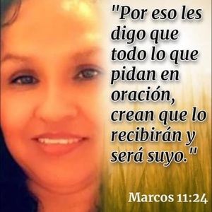 Meet your Posher, Luz